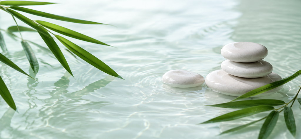 Mitgliedschaft · Coaching 2 Aktuelles Bild: Lebe TCM. Mitgliedschaft